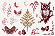 Woodland Mystic Animals & Botanical, a Decorative Illustration by Christine Krahl (Thumbnail 2 of 12)