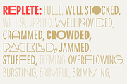 Replete Sans, a Sans Serif Font by Sudtipos (Thumbnail 14 of 14)