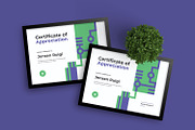 Appreciation - Certificate, a Brochure Template by Izdihaar_Studio (Thumbnail 3 of 3)