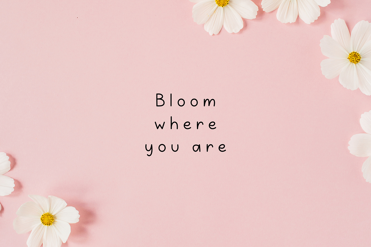 Rhubarb Macaron, a Handwritten Font by Sofia Skoog (Photo 10 of 11)