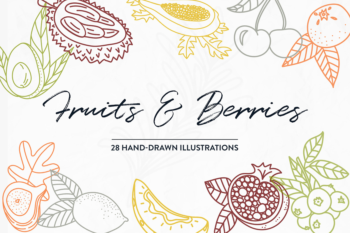 BOTANY BUNDLE - 6in1, a Food Illustration by amber&ink (Photo 11 of 19)