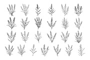 50 Lavender Procreate Stamps Brushes, a Brush Add-On by Procreate Sale (Thumbnail 4 of 6)