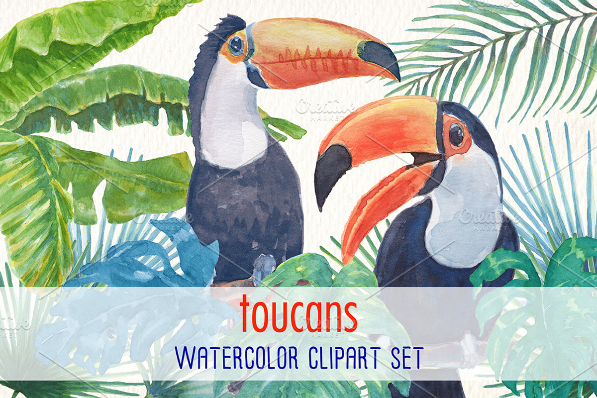 toucans and flamingos watercolor set, an Illustration by Art & Things (Photo 3 of 7)