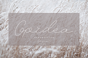 Gordea/SALE 99% OFF, a Script Font by Katie Holland (Thumbnail 1 of 17)