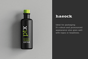 Haeock Family, a Slab Serif Font by vectalex (Thumbnail 3 of 6)