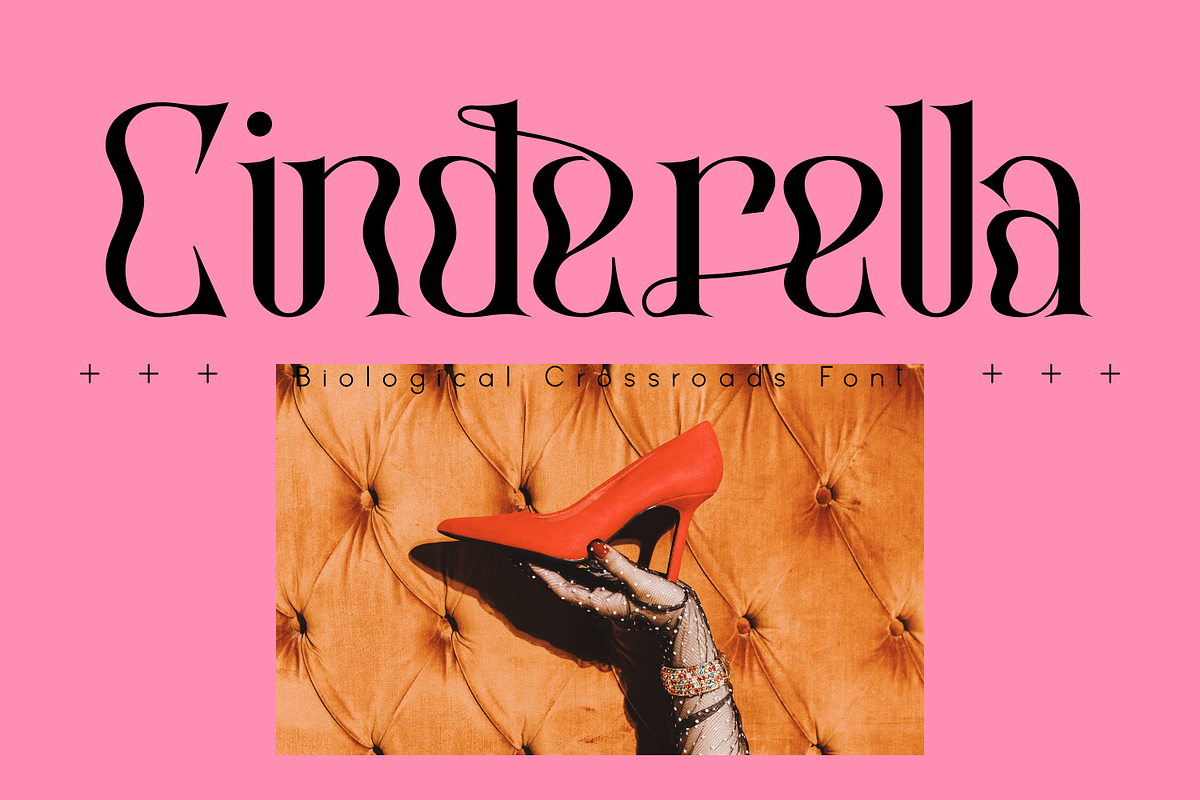 Biological Crossroads - Psychedelic, a Serif Font by 177Studio (Photo 5 of 8)