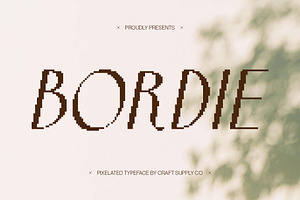 Bordie Pixel, a Sans Serif Font by Craft Supply Co.