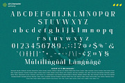 Lemony, a Serif Font by din-studio.com (Thumbnail 4 of 4)