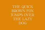 Phaedra // A Retro Serif Typeface, a Serif Font by Megs Lang (Thumbnail 5 of 17)