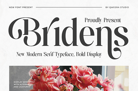 Bridens - Modern Serif Display, a Serif Font by Qweera Studio