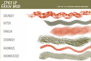 SPICE UP GRAIN BRUSHES for Procreate, a Brush Add-On by danusetyaji (Thumbnail 7 of 8)