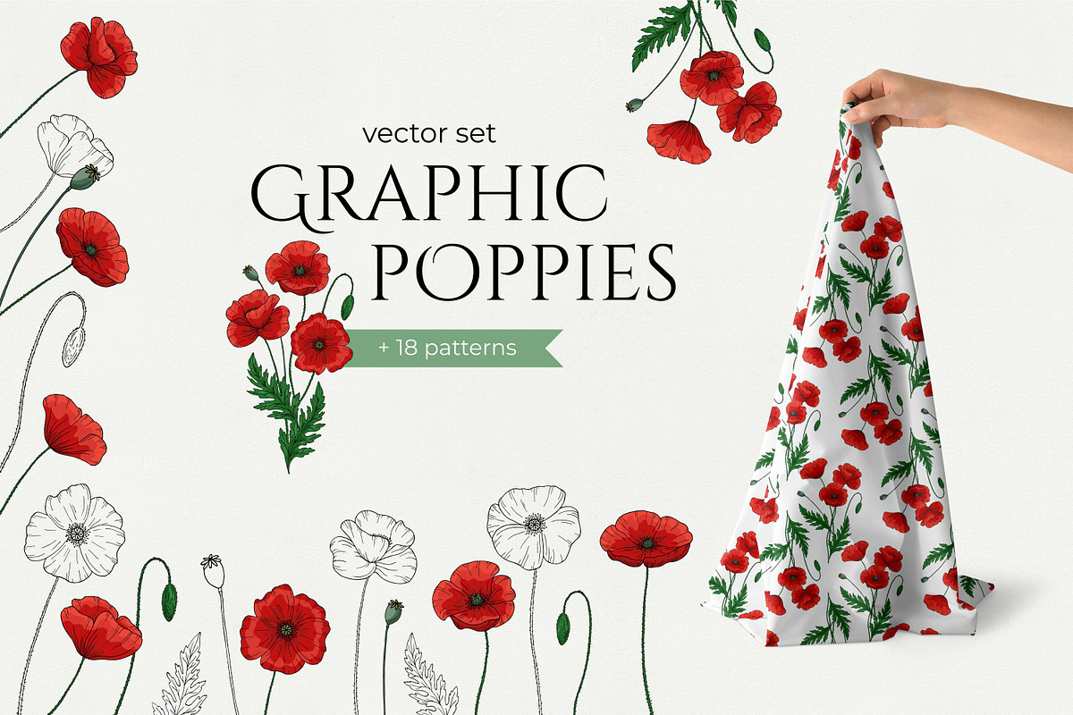 Graphic poppies. Vector set., a Pattern Graphic by TaityG (Photo 1 of 12)