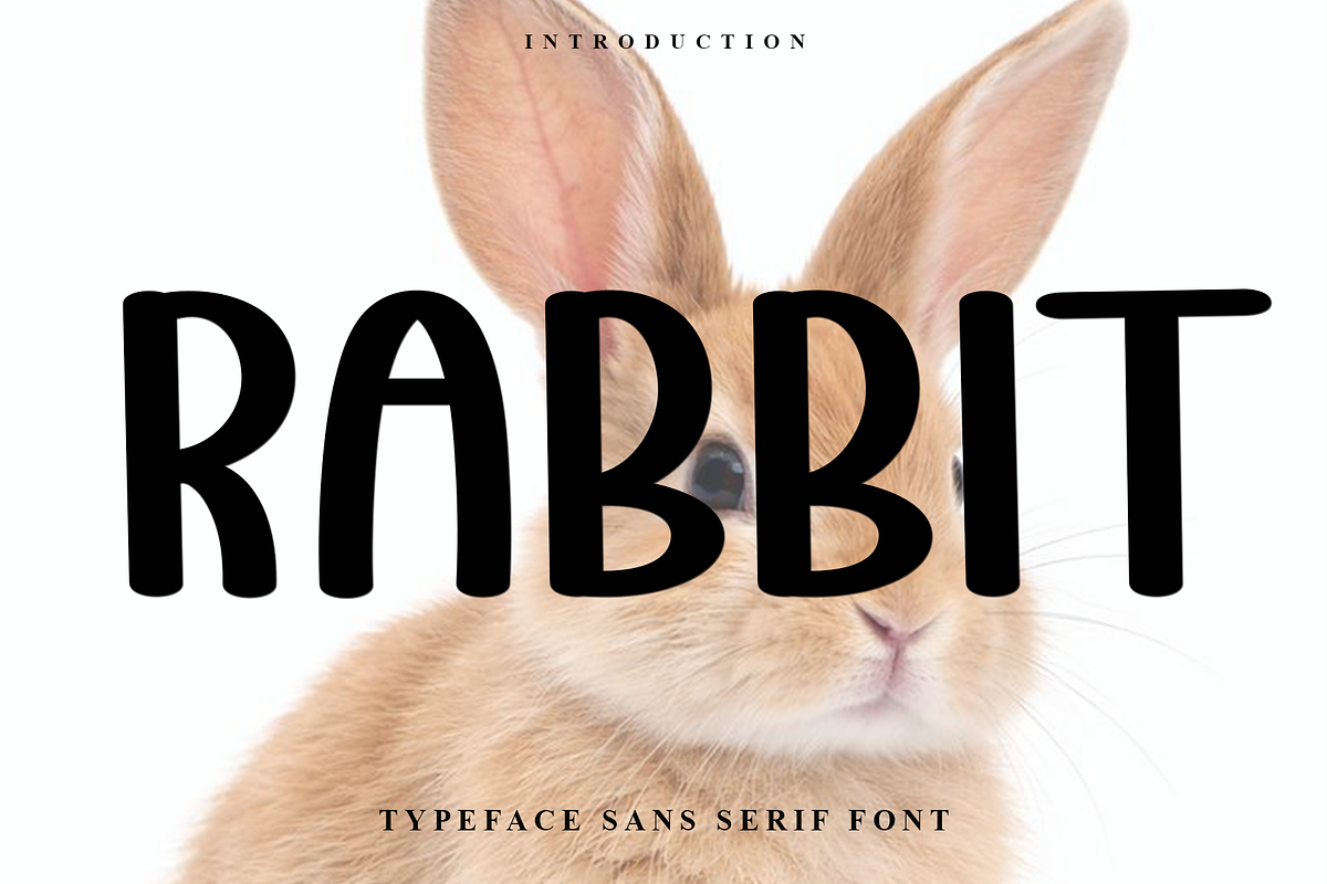 Rabbit, a Script Font by InermediaSTUDIO (Photo 1 of 8)