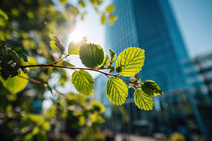 Sunlit Green Leaves Urban Nature Spr, a Photo by Pixeness Studio