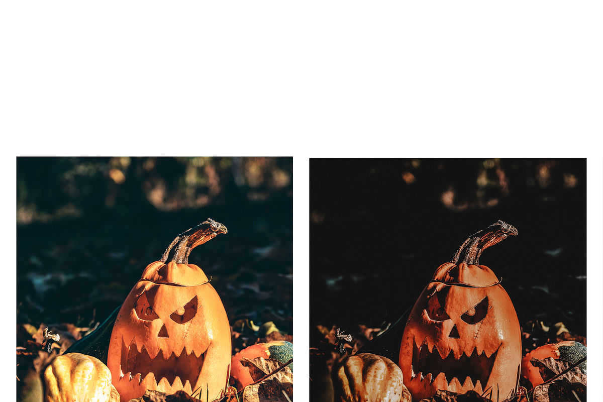 10 Halloween Lightroom Presets, a Preset Add-On by MockTurtleStudio (Photo 4 of 9)