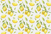 Lovely Lemons. Watercolor collection, a Decorative Illustration by Maria's little shop (Thumbnail 7 of 10)