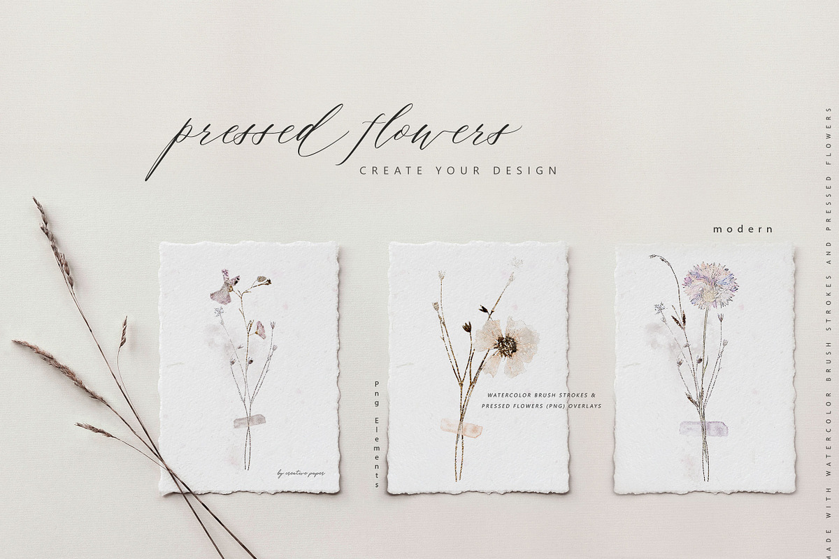Pressed Flowers & Brush Strokes Png, an Object Graphic by by creative paper (Photo 6 of 17)