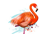 Tropical Birds SET, Exotic Species, an Animal Illustration by Dneprstock (Thumbnail 4 of 10)