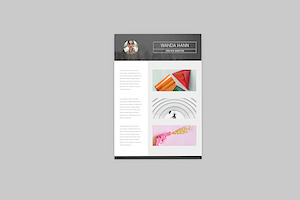 Delight CV Resume Designer