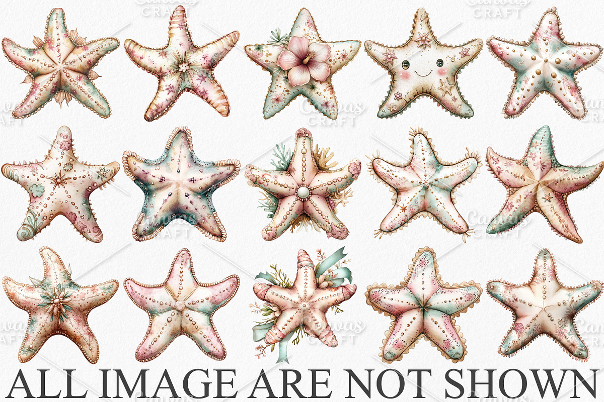 Whimsical Summer Starfish Clipart, an Illustration by Canvas Craft (Photo 3 of 7)