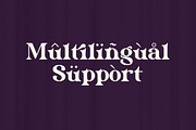 Eriskaw Serif Fonts, a Serif Font by mahstudios (Thumbnail 9 of 10)