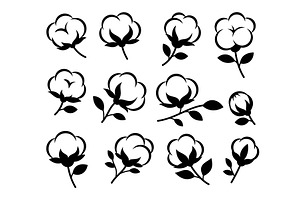 Set of cotton plant flowers and, an Illustration by GraphiShop