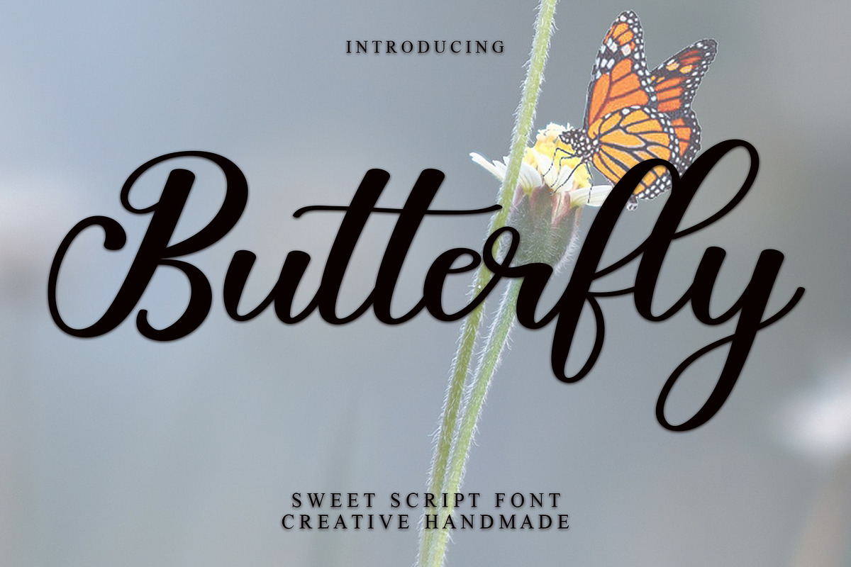 Butterfly - Handwriting Font, a Handwritten Font by InermediaSTUDIO (Photo 1 of 6)