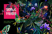 Tropical paradise. Midnight green, a Pattern Graphic by OlgaSoi007 (Thumbnail 1 of 8)