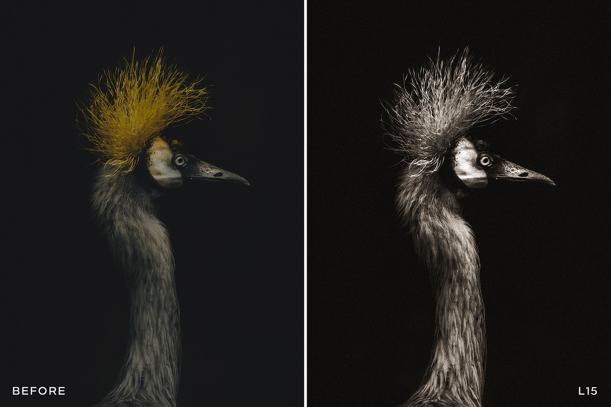 15 Leica Lightroom Presets, a Preset Add-On by Lavinsky Art Store (Photo 14 of 16)