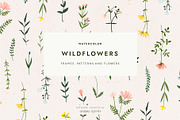 Watercolor Wildflower Bundle, an Illustration by Studio Edyth (Thumbnail 1 of 5)