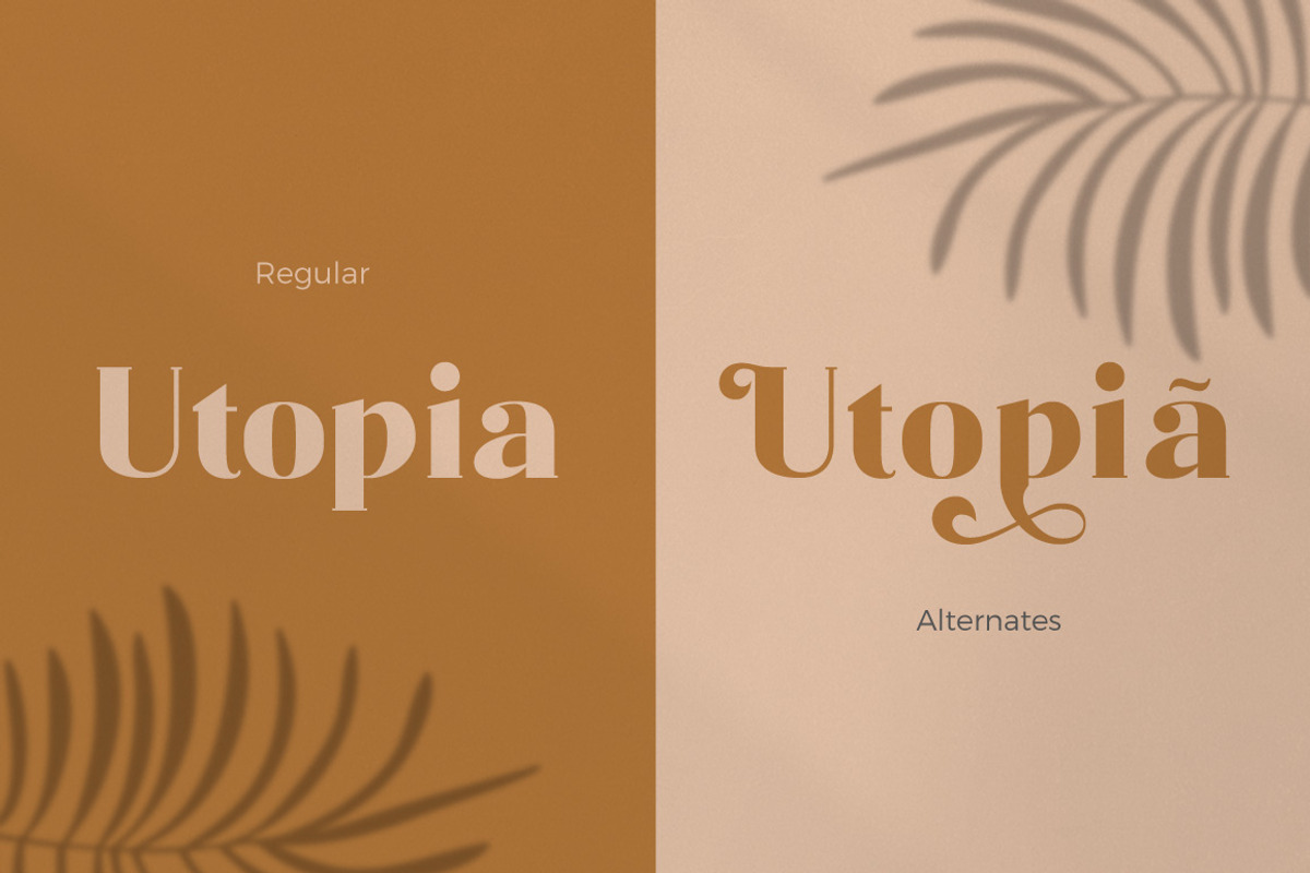 Mataö - Elegance Font Serif, a Font by Identy Studio (Photo 21 of 24)