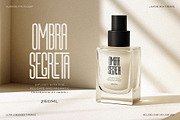 First Contact - 16 Fonts in One Pack, a Sans Serif Font by SilverStag Type Foundry (Thumbnail 7 of 30)