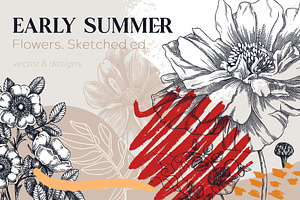 Summer Flower Sketches & Designs