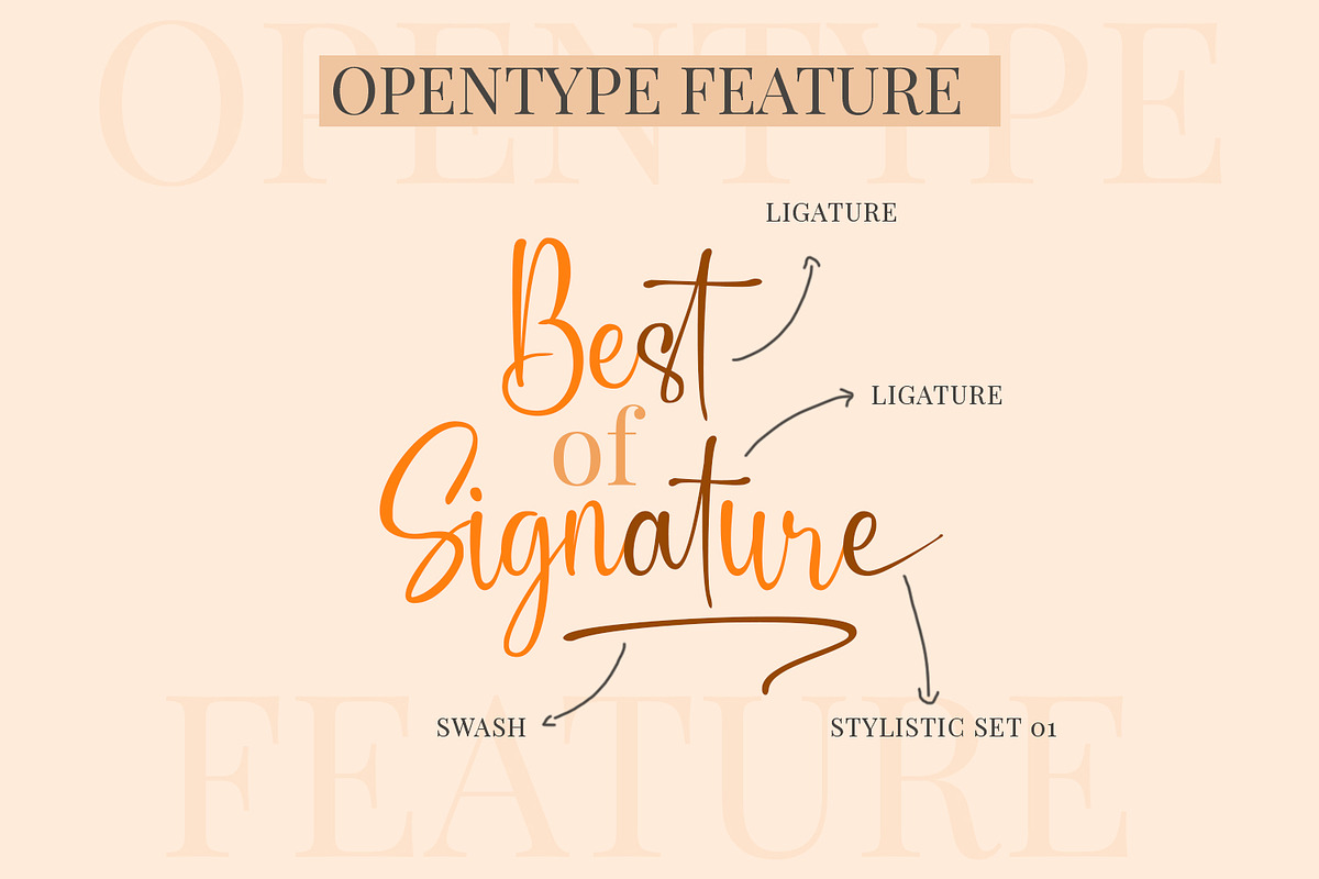 Slandia Signature / Handwriting Font, a Script Font by Mytype Studio (Photo 8 of 11)