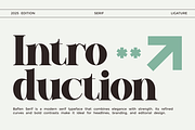 Baflen - Modern Serif Typeface, a Serif Font by MaikoHatta (Thumbnail 2 of 8)