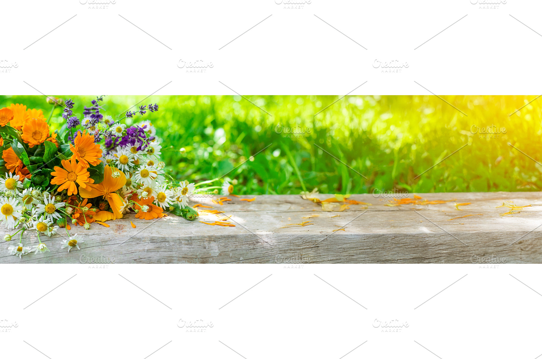 Wild plants and flowers. Selective, a Nature Photo by yanadjana