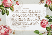 Hauliot Roisy | Handwritten Romantic, a Script Font by gracetype_studio (Thumbnail 10 of 12)