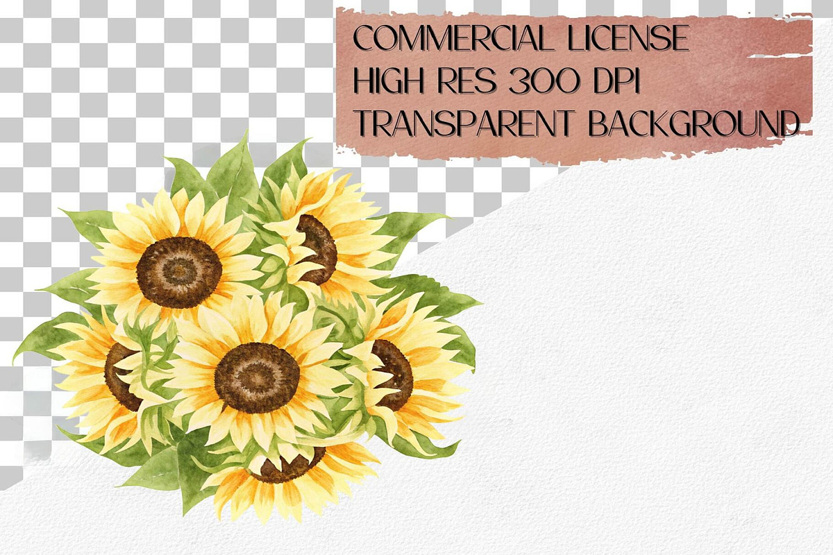 Watercolor Sunflower Clipart, 44 PNG, a Decorative Illustration by CropUp Creative (Photo 4 of 4)
