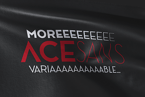 Ace Sans Variable Font