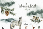 Watercolor forest Animals and Plants, an Animal Illustration by Alamella (Thumbnail 4 of 7)