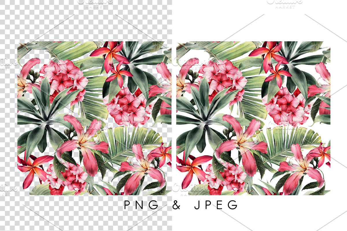 Seamless tropical patterns, a Pattern Graphic by ollalya (Photo 6 of 17)