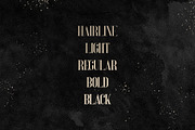 Perfectly Splendid Typeface - 5 font, a Serif Font by VP Fonts (Thumbnail 2 of 9)