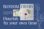 Delmora Elegant Display Serif Font, a Serif Font by Vadovastd (Thumbnail 3 of 8)