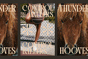 Qulight Modern Serif Display, a Serif Font by timelesstype.co (Thumbnail 8 of 20)