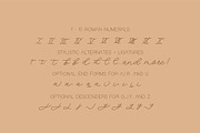 Lemon Line Single Line Font, a Font by Design by Laney (Thumbnail 5 of 14)