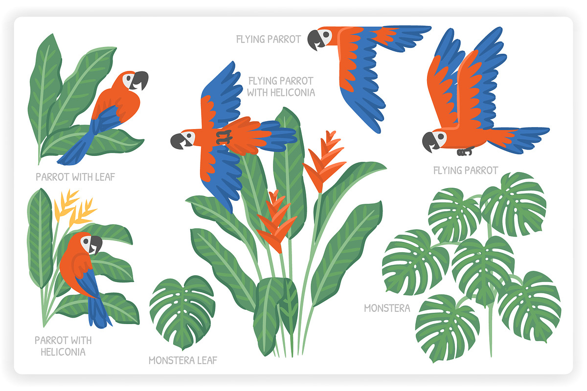 36 Tropical Elements + 12 Patterns, an Object Graphic by monkik (Photo 5 of 11)