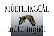 Zaloma, a Serif Font by Zaloma Studio (Thumbnail 6 of 10)