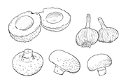 Vintage Vegetables & Fruits Kit, a Food Illustration by kulturrrno (Thumbnail 3 of 5)