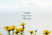 The Cherry Season - Handwritten Font, a Script Font by Kaya Fonts (Thumbnail 10 of 36)