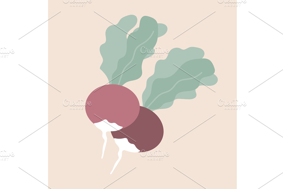 Two radish flat vector illustration, a Food Illustration by Toltemara